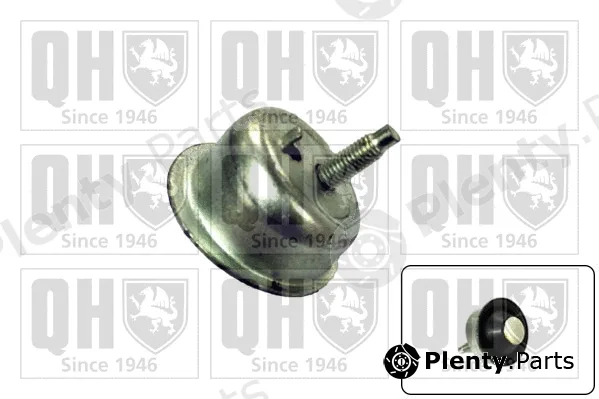 Quinton Hazell EM4143 — Mounting, engine