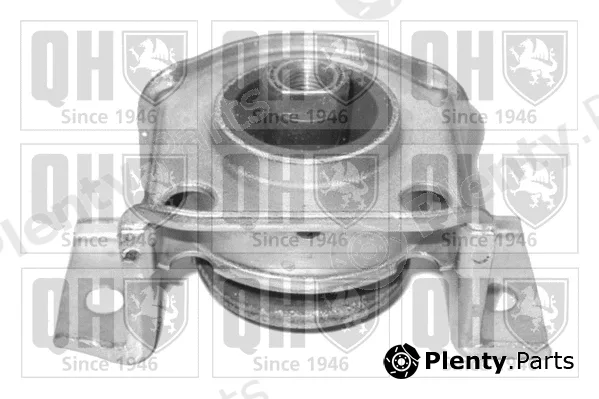 Quinton Hazell EM3135 — Mounting, engine