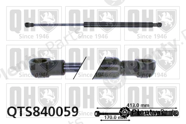 Quinton Hazell QTS840059 — Gas Spring, boot/cargo area