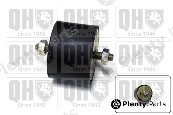 Quinton Hazell EM3173 — Mounting, engine