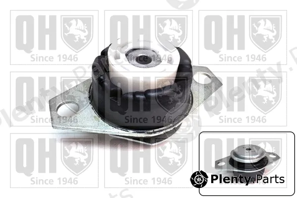 Quinton Hazell EM4717 — Mounting, engine