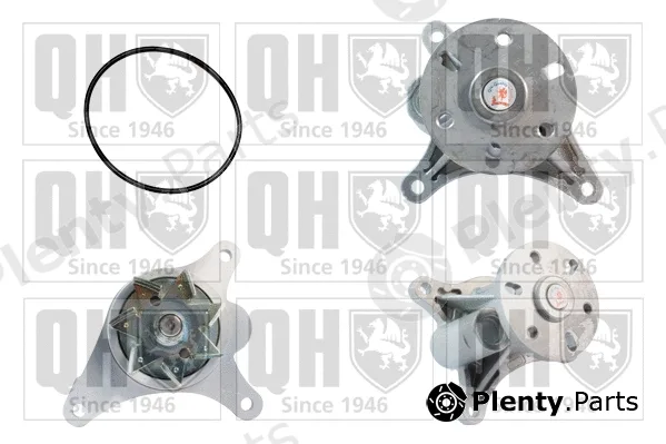 Quinton Hazell QCP3666 — Water Pump, engine cooling