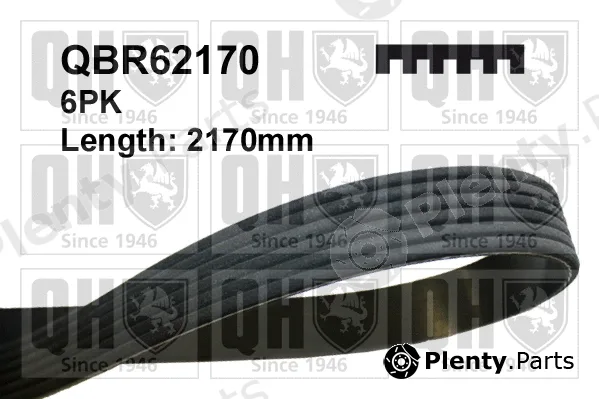 Quinton Hazell QBR62170 — V-Ribbed Belt