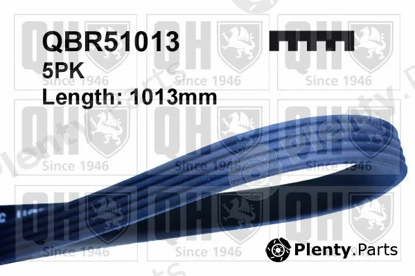 Quinton Hazell QBR51013 — V-Ribbed Belt