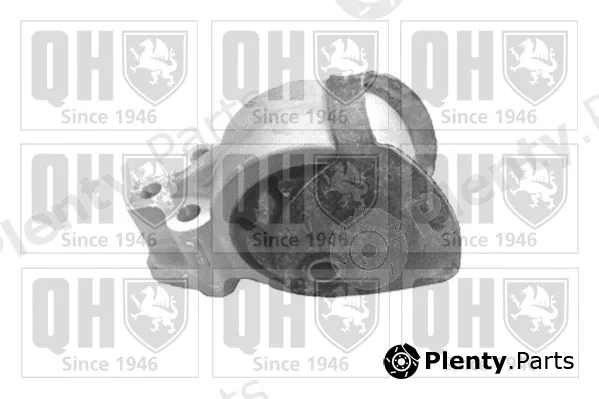 Quinton Hazell EM4043 — Mounting, engine