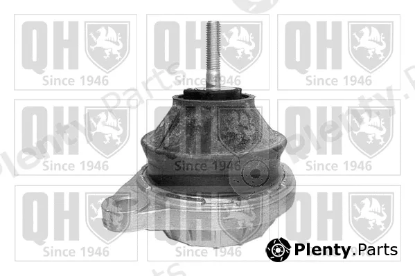 Quinton Hazell EM2446 — Mounting, engine