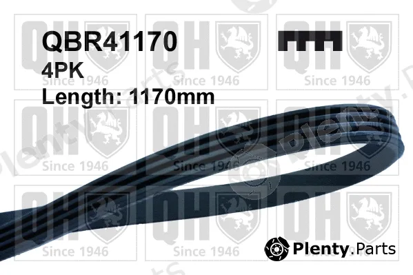 Quinton Hazell QBR41170 — V-Ribbed Belt