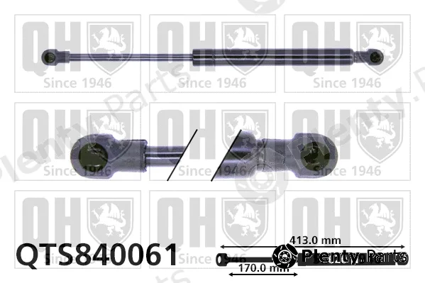 Quinton Hazell QTS840061 — Gas Spring, boot/cargo area