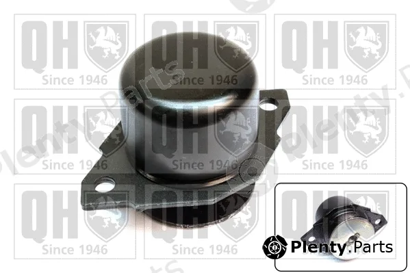 Quinton Hazell EM1887 — Mounting, engine