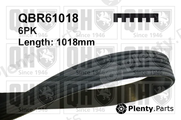 Quinton Hazell QBR61018 — V-Ribbed Belt