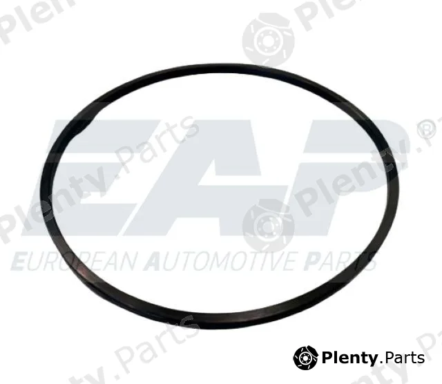 EAP EAP8 — Shaft Seal, wheel hub