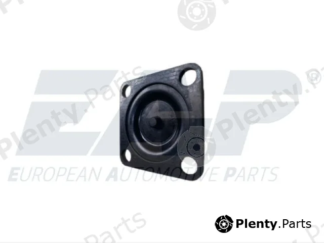 EAP EAP343 — Gasket, differential