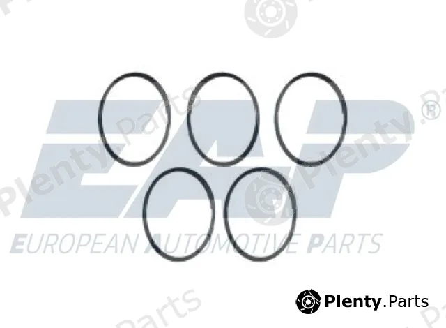 EAP EAP248 — Seal Ring, exhaust manifold