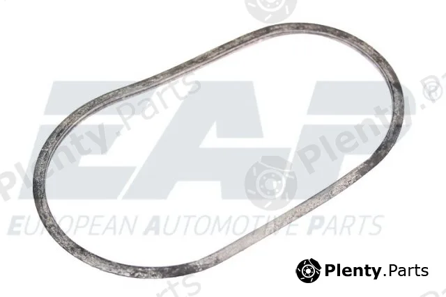 EAP EAP211 — Seal, thermostat