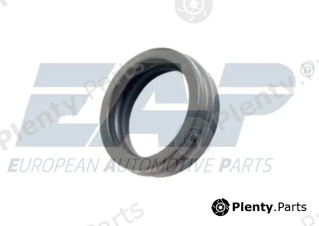 EAP EAP100 — Gasket, timing case