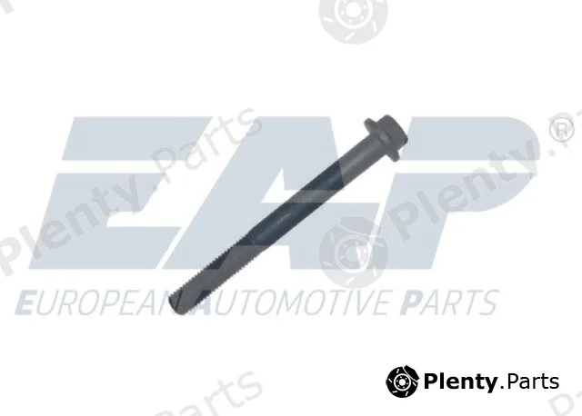 EAP EAP96 — Screw, engine mount support