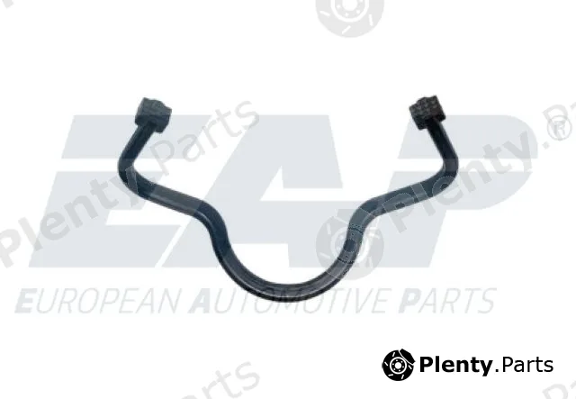 EAP EAP431 — Gasket, timing case