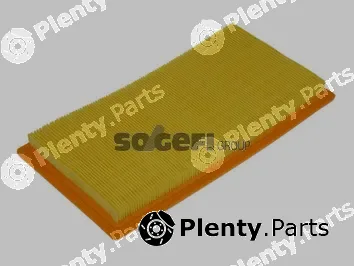 Fram CA10118 — Air Filter