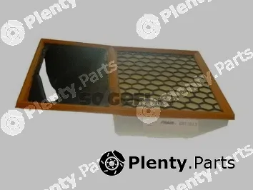 Fram CA11813 — Air Filter