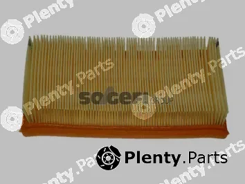 Fram CA4263 — Air Filter