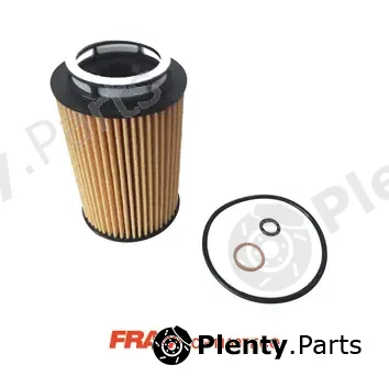 Fram CH11007ECO — Oil Filter