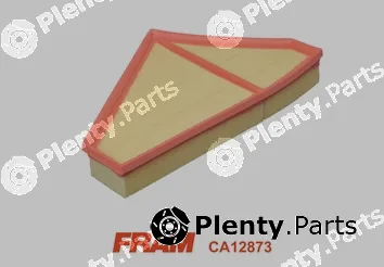 Fram CA12873 — Air Filter
