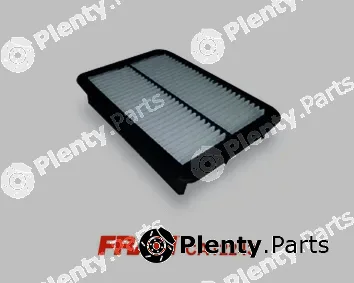 Fram CA12243 — Air Filter