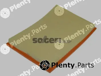 Fram CA10675 — Air Filter