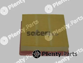 Fram CA3399 — Air Filter