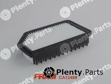 Fram CA12489 — Air Filter