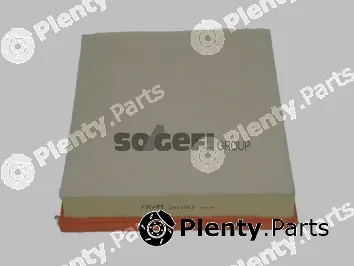 Fram CA11013 — Air Filter