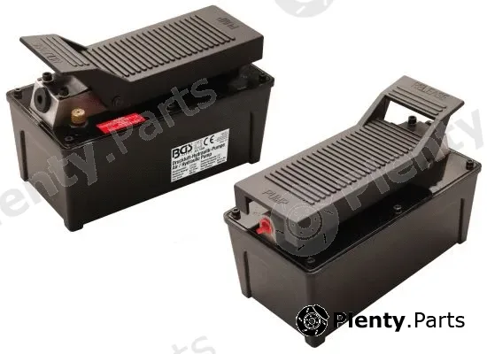 BGS 1609 — Hydraulic pump