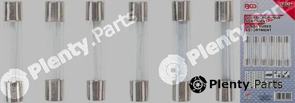 BGS 14125 — Assortment, fuses