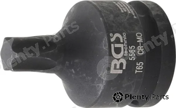 BGS 5565 — Screwdriver Bit