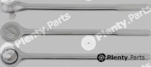 BGS 231 — Reversible Ratchet