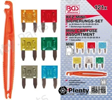 BGS 8109 — Assortment, fuses