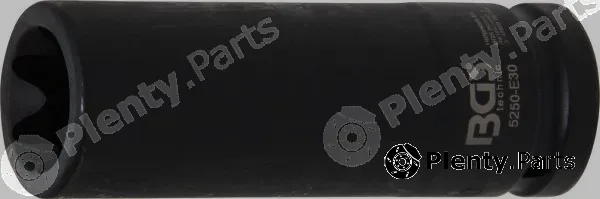 BGS 5250-E30 — Power Socket