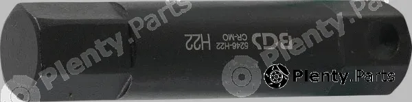 BGS 5246-H22 — Screwdriver Bit