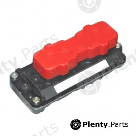 Blockstem IAW0014R — Control Unit, engine management