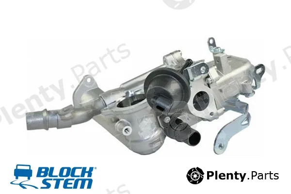 Blockstem RDE0004R — Cooler, exhaust gas recirculation