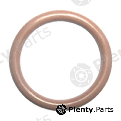 Restagraf 2205 — Sealing Ring, coolant line