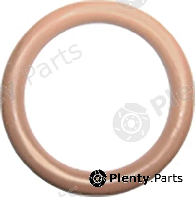 Restagraf 2206 — Sealing Ring, coolant line