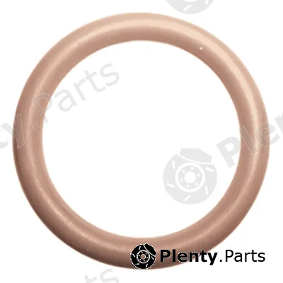 Restagraf 2212 — Sealing Ring, coolant line