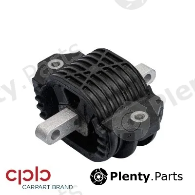 CPB 503167 — Mounting, transfer case