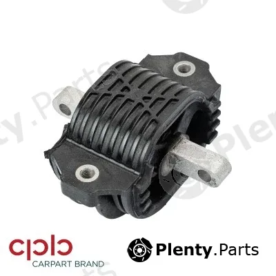 CPB 503190 — Mounting, transfer case