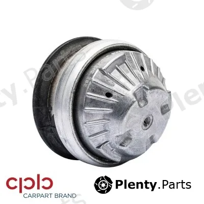 CPB 500403 — Mounting, engine