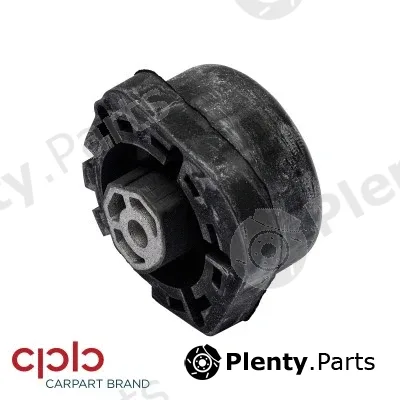 CPB 504513 — Mounting, transfer case