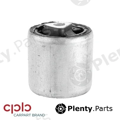 CPB 500091 — Mounting, control/trailing arm