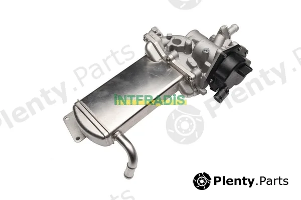 Intfradis 25983 — EGR Valve