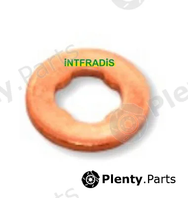 Intfradis 10149 — Seal Ring, nozzle holder